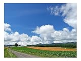 500 Teile Puzzles für Erwachsene Kinder-Feld,Wirtschaft,Heu 52x38cm