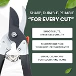 Saboten Japanese Pruning Shears 7.9" – Professional Bypass Garden Clippers, Made in Japan, Sharp Carbon Steel Blade with Sap-Resistant Fluorine Coating, Comfort Grip, Cuts up to 3/4 in (20 mm)