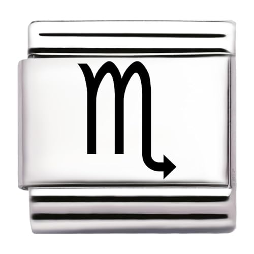 Zodiac Engraved Italian Charm – Astrological Star Sign Bracelet Link 9mm Stainless Steel Fits All Modular Stretch Bracelets, Horoscope Jewellery Gift Idea (Scorpio)