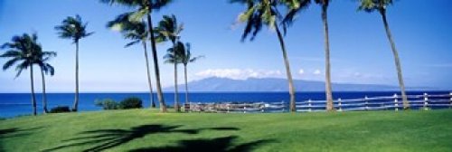Posterazzi Palm trees at the coast Ritz Carlton Hotel Kapalua Molokai Maui Hawaii USA Poster Print, (18 x 6)