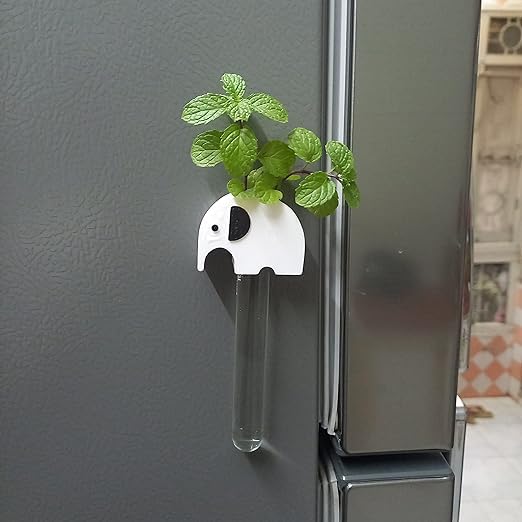 SAJAOO Magnet Test Tube Planter for Cupboard, Fridge and for Any Metallic Surface (B0CVQPWQN7) Amazon Price History, Amazon Price Tracker