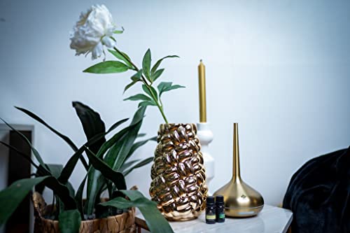 Edensdecor Essential Oil Diffusers, Aromatherapy Oil Diffuser, Cute Diffuser Humidifier, Room Decor, Office Decor, 2 Mist Mode Auto Off, 7 Color Light 120Ml Gold #TOP6