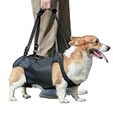 Pettorina per cani con supporto per la schiena e supporto per fianchi – Guinzaglio di supporto morbido per zampe posteriori, maniglie, supporto di sicurezza per cani disabili, feriti o anziani