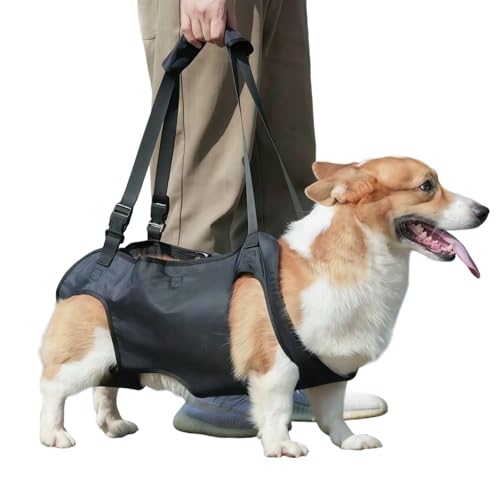 Harnais CeyKvo pour Chien, Support Jambe Arrière