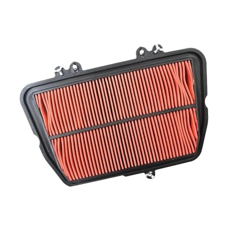 Filtre à air moto nettoyant compatible Tiger 800 XC XRX