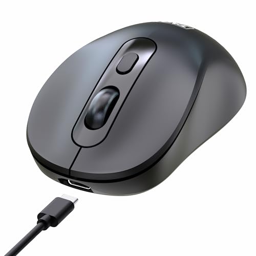 TAG WM900 Dual Mode Wireless Mouse – 2.4GHz & Bluetooth, Silent Click, Rechargeable Type-C, Adjustable DPI (800/1200/1600), 10m Range, 72H Battery, for Windows/Mac/iOS/Linux/Android – Black