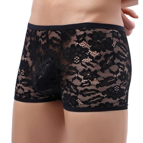 Mens Lace Boxers Briefs Sheer Underwear Sissy Panties Sexy Lingerie for Men2