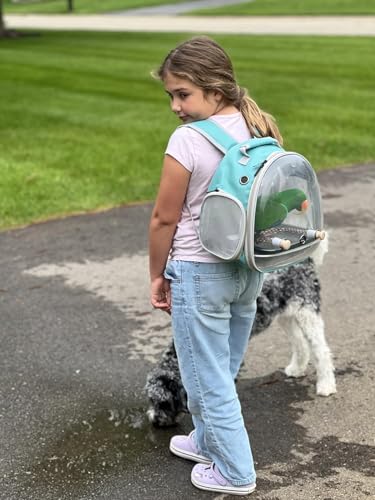 Small Bird Travel Backpack Carrier Cage, Backpack to Transport Backpack Carrier with Metal Tray Stand Perch for Parakeet Cockatiel Budgies Vet Carry Book Bag - Image 6