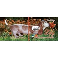 LILY A Basset Hound's Tail of Love 0977906213 Book Cover