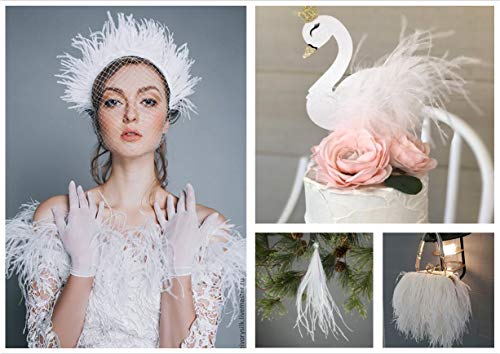 Awaytr Ostrich Feather Trim Fringe - Satin Ribbon Dress Sewing Crafts Costumes Decoration Pack Of 10 Yards (White) #TOP1