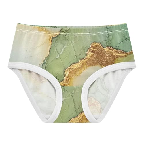 Underwear 1-piecing Hip Design Panties Comfort Underwear for Kids in Sizes 2T,3T, 4T, 5T, 6Y and 8Y