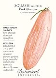 Squash Winter Pink Banana Seed