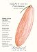 Squash Winter Pink Banana Seed