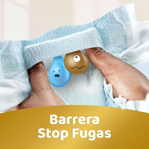 Variante de DODOT pañales Talla 6 (+13 kg) Pack 111+4