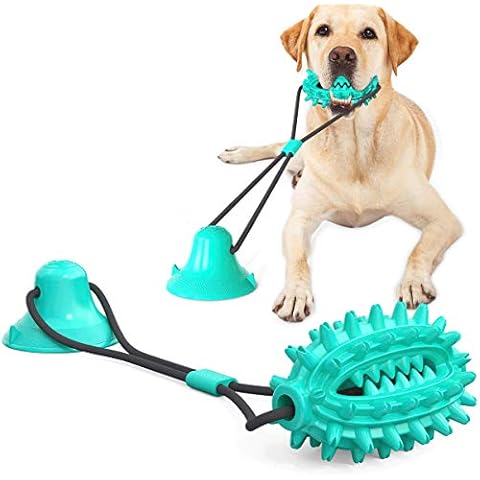 YARCHONN Suction Cup Dog Toy Ball, Food Treats Ball Puppy Pulling Chewing Training Toys, TPR Molar Ball Clean Teeth Toys For Small Middle Dogs (Cactus) Cover