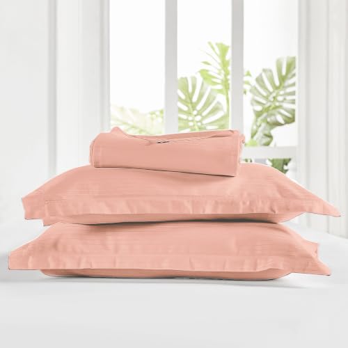 Image of myTrident Bedsheet for Double Bed King Size | 108 inch x 108 inch | Papaya