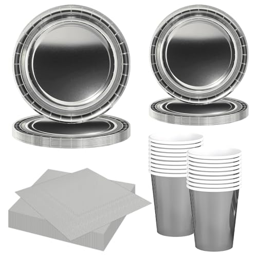 MORAINJAY 68-teiliges Silber Pappgeschirr Set, Silber Pappteller...