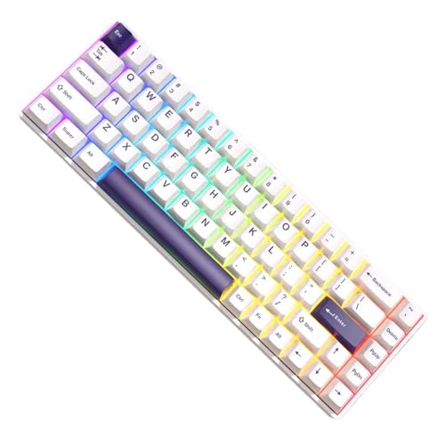 G68SE RGB LJjJL[{[hzbgXbvCXCb`JX^}CYꂽKXPbg݌v PC Q[ANZT[(White)