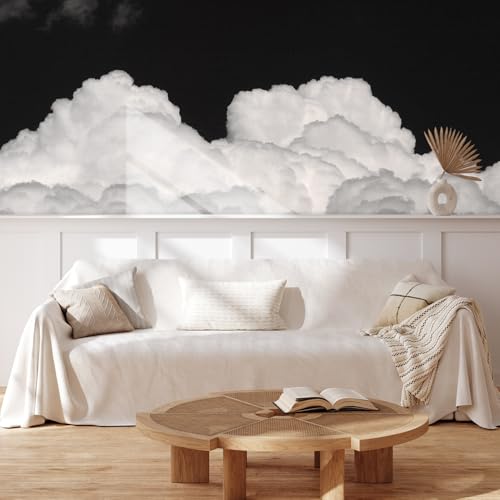 MUDECOR Wall Mural Dramatic Black and White Cloudscape Nature Wilderness