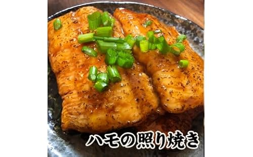 鱧の照り焼き(100g×5切れ)[冷凍][A-44]