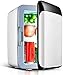 Sgdodky Mini Nevera, Mini Nevera de 10 litros - Refrigerador y Calentador de Nevera para automóvil con AC/DC, Mini Nevera para el Cuidado de la Piel y cosméticos,