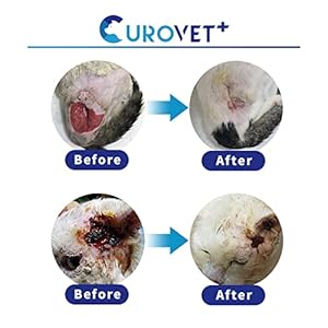 Healimaxwoundcaregelfordogsandcats035ozsafeandeasycarewith100naturalingredientsburnulcerandsurgicalwound Urban Country Home Decor Healimax wound care gel for dogs and cats 035oz safe and easy care with 100 natural ingredients burn ulcer and surgical wound urban country home decor