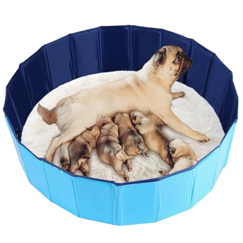 FLKQC Whelping Pen for Dogs, Foldable Birthing Pool for Dogs, Whelping Box for Dogs and Puppies, Poartable Plastic Swimming Pool & Bath Tub for Dogs (Blue) (39.4” Dia. × 11.8” H (100cm × 30cm))