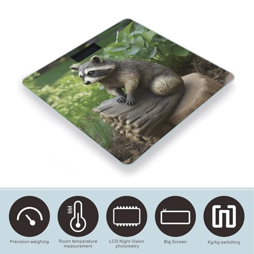 Báscula digital de baño con estatua de mapache y pantalla LCD miniatura 3