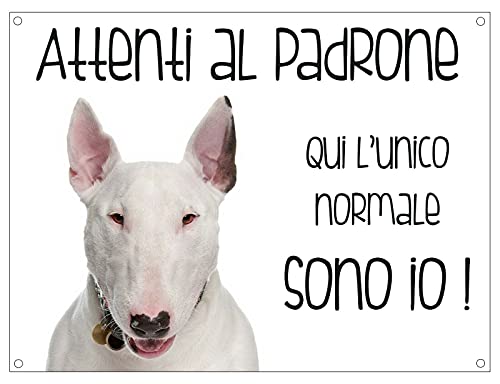 CARTELLO CANE - BULL TERRIER Attenti al padrone qui l'unico normale sono io - Con Adesivo in Vinile e Pannello in Forex (Adesivo)