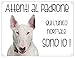 CARTELLO CANE - BULL TERRIER Attenti al padrone qui l'unico normale sono io - Con Adesivo in Vinile e Pannello in Forex (Adesivo)