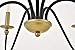 Elegant Lighting Rohan Collection 6 Light Chandelier in Matte Black Finish - 36