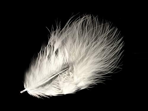 1 Pack - White Turkey Marabou Short Down Fluff Loose Feathers 0.10 Oz. Fan Doll Fishing Supplier | Moonlight Feather #TOP16