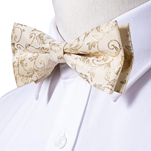Set de moño, gemelos y pañuelo para hombre beige miniatura 4