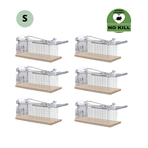 RatzFatz 6Pcs Trampa de Ratones, Jaula de Alto Grado para Atrapar Ratones, y Otros Animales Pequeños Sin Matarlos, Humanitario y Reutilizable