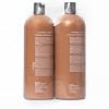 ABBA - Pure Color Protection Shampoo & Conditioner Shine Enhancing & Nourishing Value Duo Set Coconut Oil & Sage, 32 fl oz Each