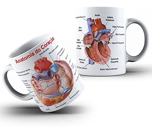 Caneca Anatomia Coração