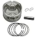 Tupo 71mm 230cc Cylinder Piston Ring Gasket Top End Rebuild Kit Compatible with Yamaha Bear Tracker 250 YFM250 YFB250 YFM 250 YFB250FW Timberwolf 250 1989-2004