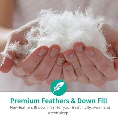 APSMILE King Size Feathers Down Comforter - Ultra Soft All Seasons 100% Organic Cotton Duvet Insert Medium Warm Quilted Bed Comforter with Corner Tabs (106x90,Ivory White)