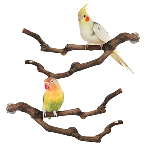 Image of PINVNBY Natural Parrot Perch Grape Wood Bird Stand Pole Parakeet Paw Grinding Fork Chewable Climbing Branches Toy Bird Cage Accessories for Budgies Conures Cockatiels Lovebirds (2 PCS, 7.9IN)