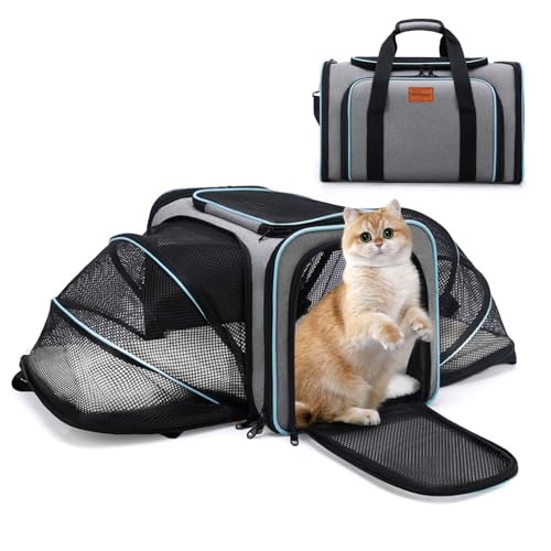 VeluXanipyr Expandable Airline Approved Pet Carrier, Soft-Sided Travel Bag for Small Cats Dogs with Hard Shell Base, Removable Fleece Pad, Ventilated Mesh, Gray (Blue Trim)