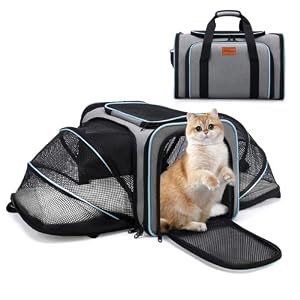 Expandable Airline Approved Pet Carrier, Soft-Sided Travel Bag for Small Cats Dogs with Hard Shell Base, Removable Fleece Pad, Ventilated Mesh, Gray (Blue Trim)
