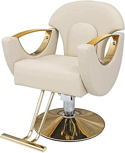 LIFENGFF Sillón de peluquería hidráulico para Negocios o casa - Beauty Styling Shop Barber Swivel Classic Hair - Altura Ajustable y Comodidad para los Clientes