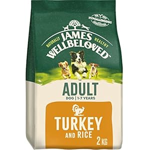 James Wellbeloved Adult Turkey & Rice 2 kg Bag, Hypoallergenic Dry Dog Food