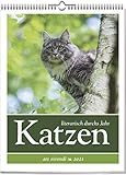 Literarischer Katzen-Kalender 2021: Wochenkalender mit Fotografien und Zitaten