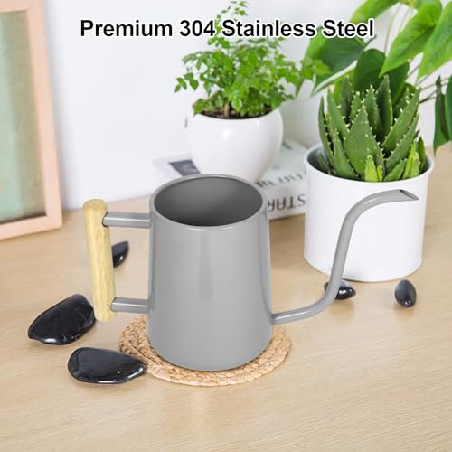 Image of Watering Can Indoor Plants, 35 oz /1000 ml Metal Stainless Steel Watering Can Pot with Long Spout for Indoor House Plants Bonsai Outdoor Garden Flower Decorative (Gray)