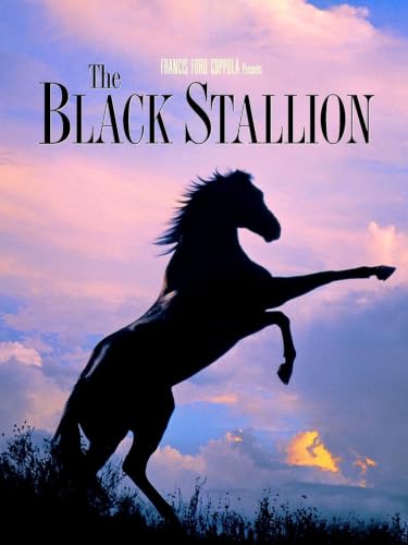  The Black Stallion