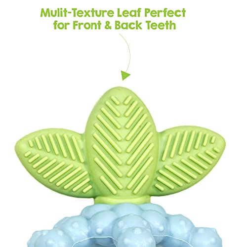 Razbaby Silicone Infant & Baby Teething Toy, Textured Berrybumps Soothe Babies’ Sore Gums, Razberry Bites Relief Teether, Back & Front Teeth, Bpa Free, Easy To Hold, Fruit Shape For Babies 3M+ - Blue #TOP3