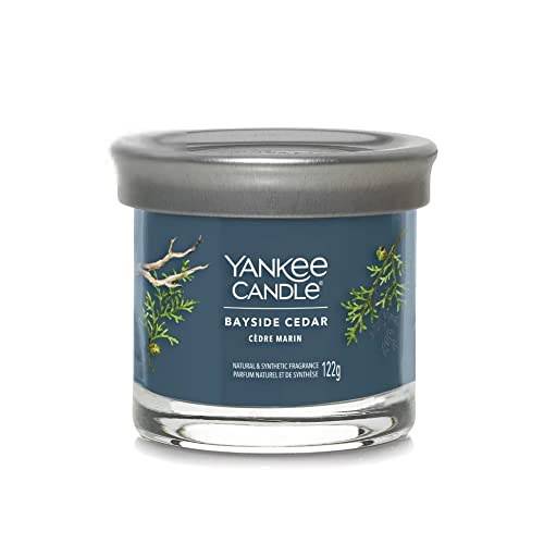 Yankee Candle - Vela pequeña con diseño de cedro marino