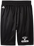 NBA Miami Heat Men's Venice Beach Basketball Basic Mesh Short