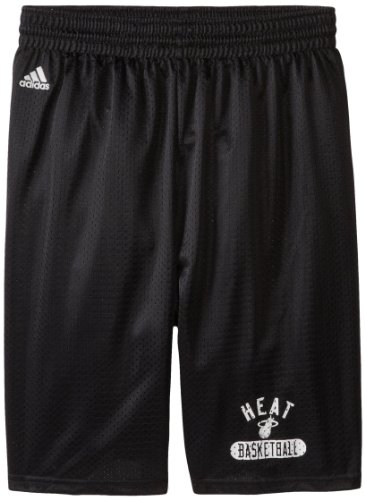 NBA Miami Heat Men's Venice Beach Basketball Basic Mesh Short